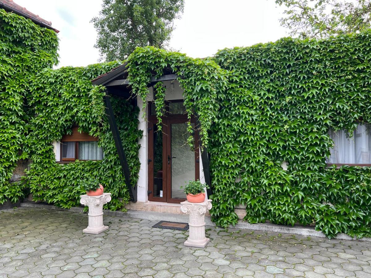 Vila Toscana Timişoara Exterior foto