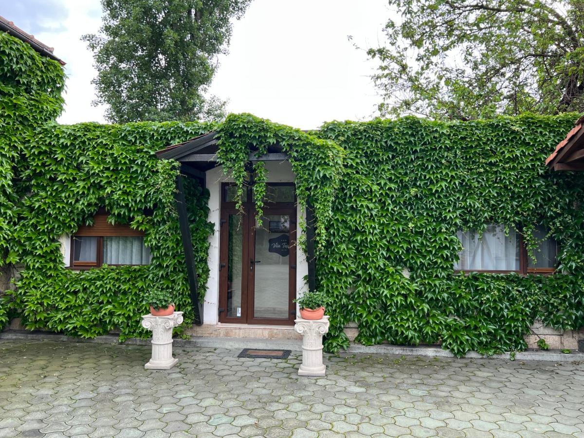 Vila Toscana Timişoara Exterior foto